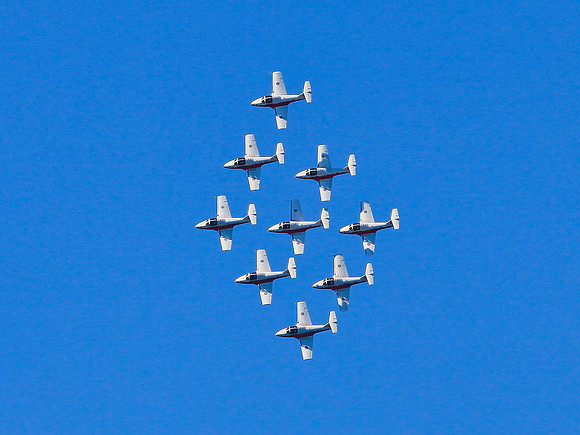 canadian Snowbirds