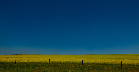 The Colour of Saskatchewan
