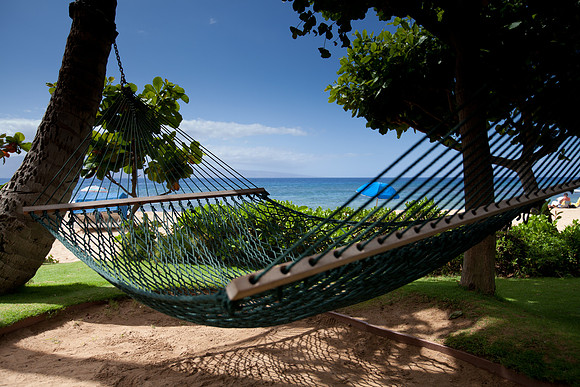 IMG_8627