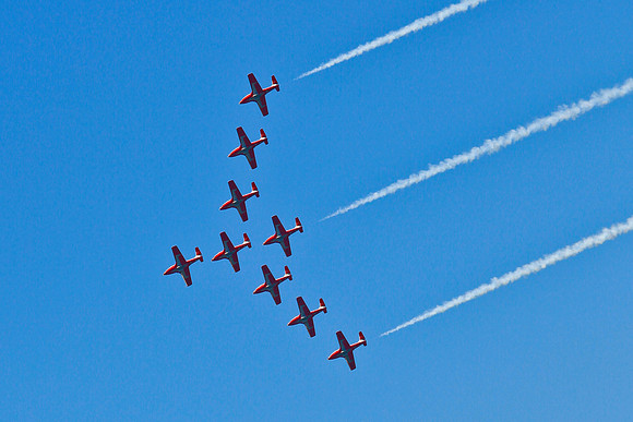 Canadian Snow Birds
