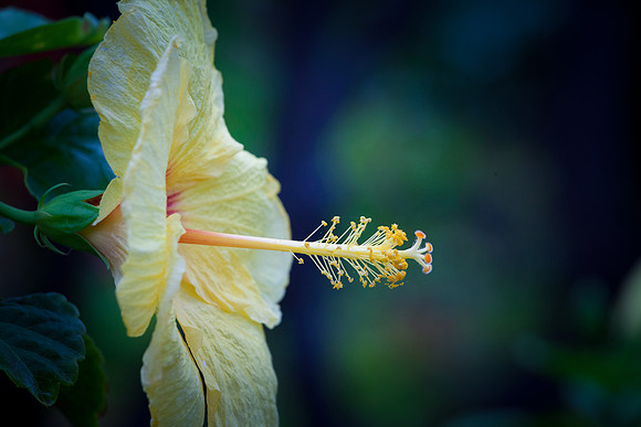 IMG_9852