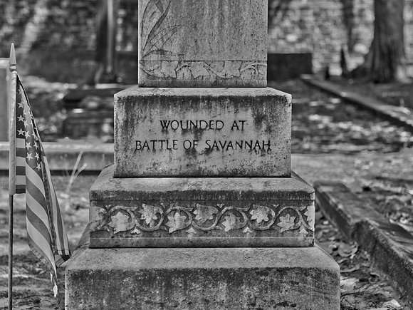 Wounded at Savannah