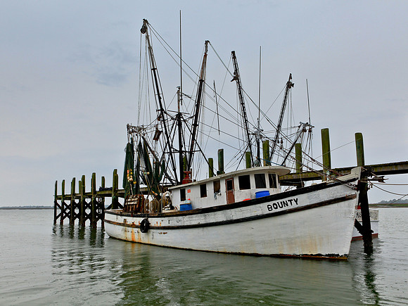 The Bounty